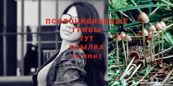 mdpv Володарск