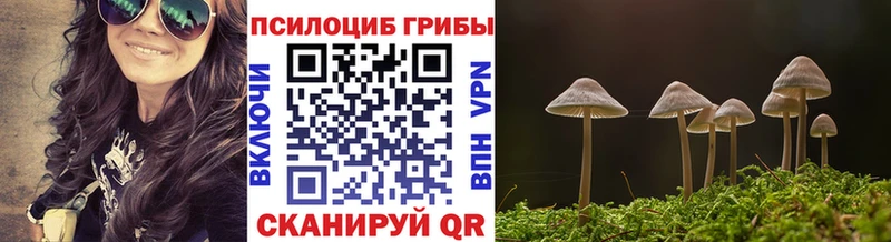 где продают   darknet как зайти  MEGA зеркало  Псилоцибиновые грибы GOLDEN TEACHER  Вытегра 