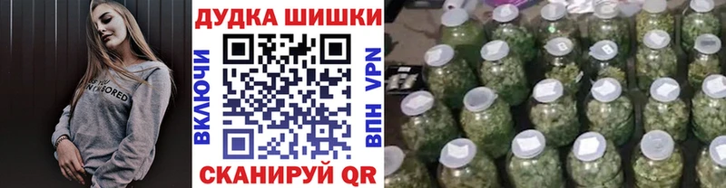 Конопля гибрид  Вытегра 